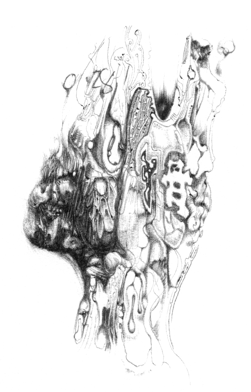 bone
