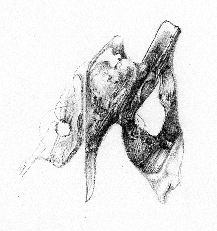 component
