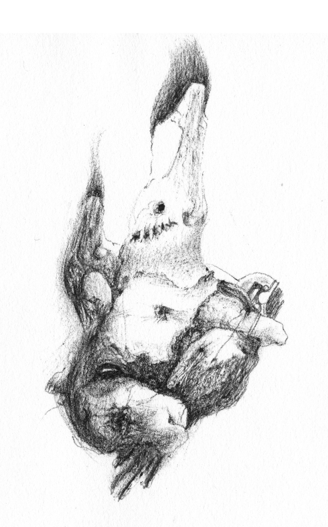 effigy