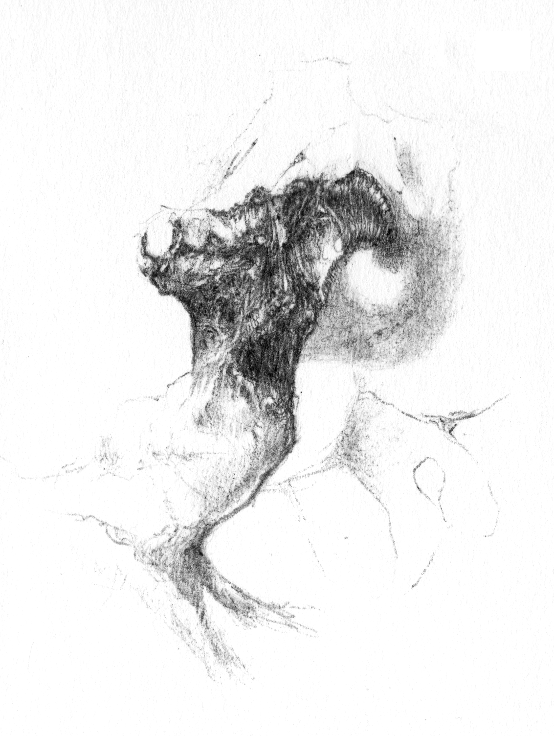ghost