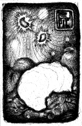 larvae