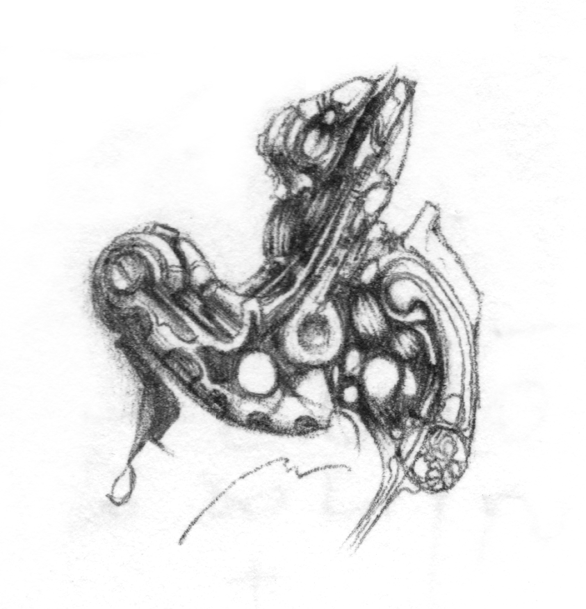 unk3